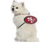 Show in main carousel: Littlearth NFL Fan Chain for Dogs & Cats, San Francisco 49ers slide 3 of 6