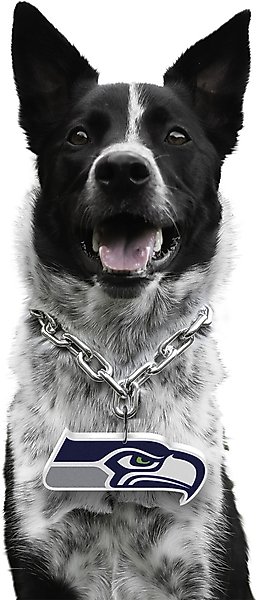 Show full view: Littlearth NFL Fan Chain for Dogs & Cats, Seattle Seahawks slide 1 of 6