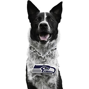 Littlearth NFL Fan Chain for Dogs & Cats, Seattle Seahawks
