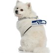 Show in main carousel: Littlearth NFL Fan Chain for Dogs & Cats, Seattle Seahawks slide 3 of 6