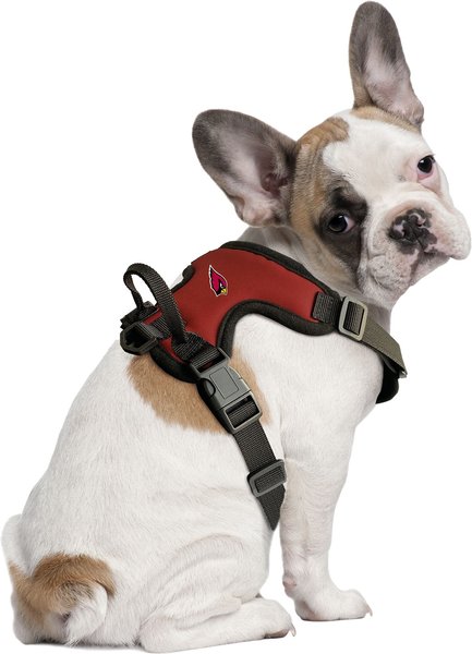 Show full view: Littlearth NFL Front Clip Dog Harness, Arizona Cardinals, Large slide 1 of 6