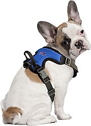 Littlearth NFL Front Clip Dog Harness, Buffalo Bills, Medium