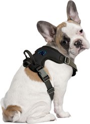 Littlearth NFL Front Clip Dog Harness, Carolina Panthers, Small