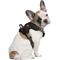 Show in main carousel: Littlearth NFL Front Clip Dog Harness, Cleveland Browns, Medium slide 1 of 6
