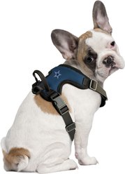 Littlearth NFL Front Clip Dog Harness, Dallas Cowboys, Medium slide 1 of 5