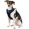 Show in main carousel: Littlearth NFL Front Clip Dog Harness, Dallas Cowboys, Small slide 2 of 6