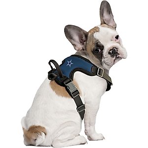 Littlearth NFL Front Clip Dog Harness, Dallas Cowboys, X-Small
