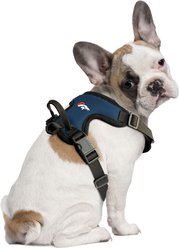 Littlearth NFL Front Clip Dog Harness, Denver Broncos, Small