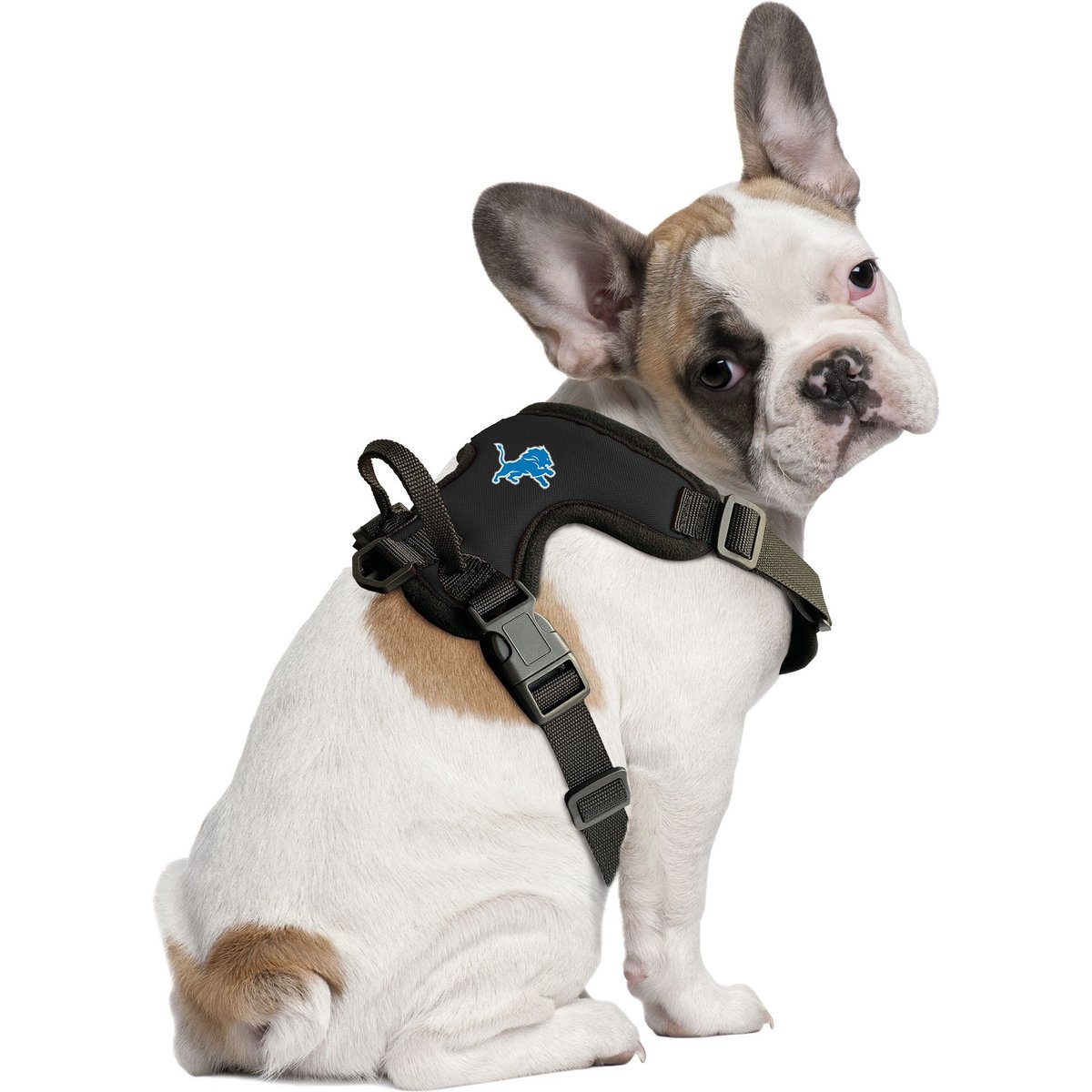 Littlearth NFL Front Clip Dog Harness, Detroit Lions, Large