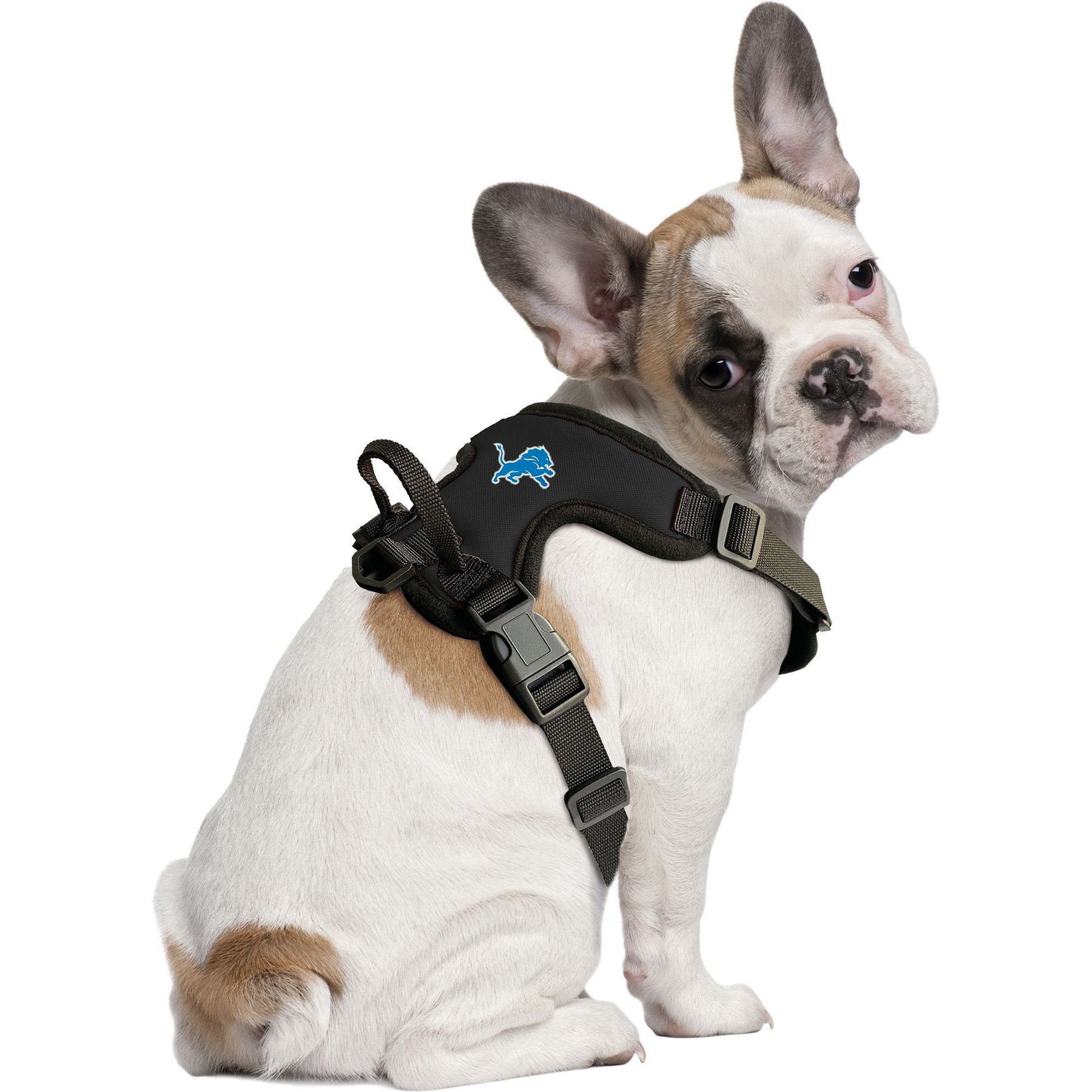 Littlearth NFL Front Clip Dog Harness, Detroit Lions, X-Small