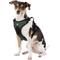 Show in main carousel: Littlearth NFL Front Clip Dog Harness, Green Bay Packers, Medium slide 2 of 6