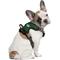 Show in main carousel: Littlearth NFL Front Clip Dog Harness, Green Bay Packers, Small slide 1 of 7