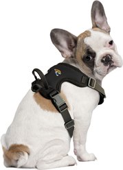 Littlearth NFL Front Clip Dog Harness, Jacksonville Jaguars, Large