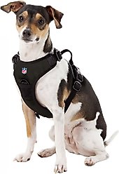 Littlearth NFL Front Clip Dog Harness, Oakland Raiders, Small slide 2 of 5