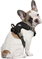 Littlearth NFL Front Clip Dog Harness, Philadelphia Eagles, X-Small