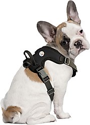 Littlearth NFL Front Clip Dog Harness, Pittsburgh Steelers, Small