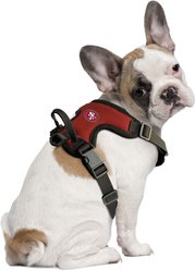 Littlearth NFL Front Clip Dog Harness, San Francisco 49ers, Small