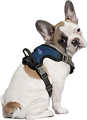 Littlearth NFL Front Clip Dog Harness, Tennessee Titans, Small