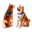 Show in main carousel: Littlearth NFL Home & Away Bandana Set for Dogs & Cats, Baltimore Ravens, Large slide 1 of 4