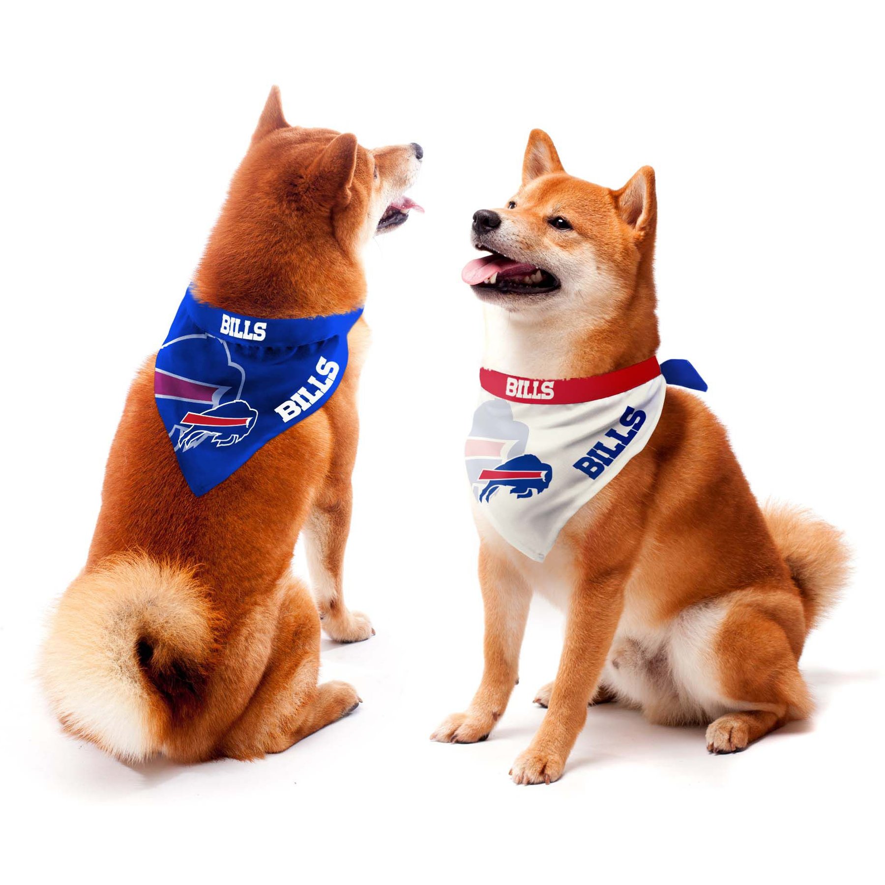 Littlearth NFL Home & Away Bandana Set for Dogs & Cats, Buffalo Bills, Medium