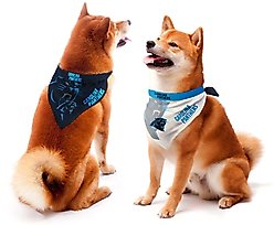Littlearth NFL Home & Away Bandana Set for Dogs & Cats, Carolina Panthers, Large