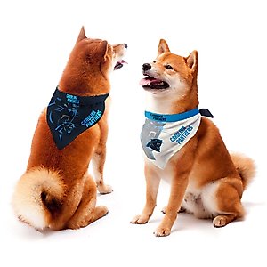 Littlearth NFL Home & Away Bandana Set for Dogs & Cats, Carolina Panthers, Small
