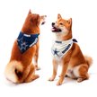 Show in main carousel: Littlearth NFL Home & Away Bandana Set for Dogs & Cats, Dallas Cowboys, Large slide 1 of 6
