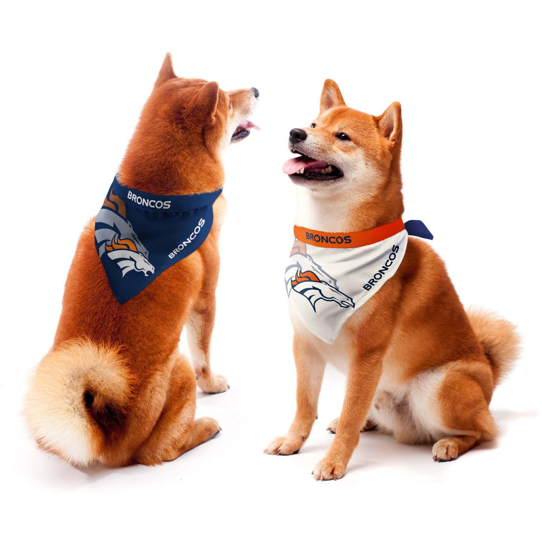 Littlearth NFL Home & Away Bandana Set for Dogs & Cats, Denver Broncos, Large