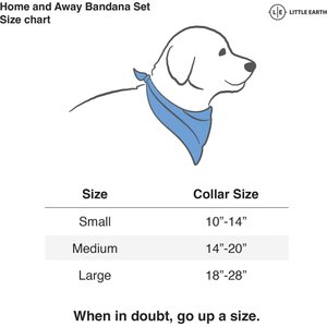 Littlearth NFL Home & Away Bandana Set for Dogs & Cats, Detroit Lions, Large