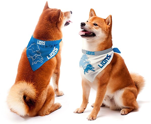 Show full view: Littlearth NFL Home & Away Bandana Set for Dogs & Cats, Detroit Lions, Small slide 1 of 4
