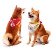 Show in main carousel: Littlearth NFL Home & Away Bandana Set for Dogs & Cats, Kansas City Chiefs, Large slide 1 of 6