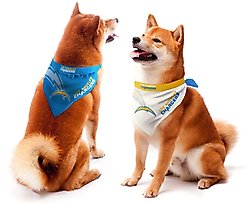 Littlearth NFL Home & Away Bandana Set for Dogs & Cats, Los Angeles Chargers, Medium