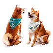 Show in main carousel: Littlearth NFL Home & Away Bandana Set for Dogs & Cats, Miami Dolphins, Large slide 1 of 6
