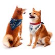 Show in main carousel: Littlearth NFL Home & Away Bandana Set for Dogs & Cats, New England Patriots, Large slide 1 of 4