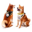 Show in main carousel: Littlearth NFL Home & Away Bandana Set for Dogs & Cats, Pittsburgh Steelers, Large slide 1 of 6
