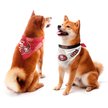 Show in main carousel: Littlearth NFL Home & Away Bandana Set for Dogs & Cats, San Francisco 49ers, Large slide 1 of 6