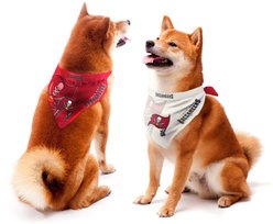 Littlearth NFL Home & Away Bandana Set for Dogs & Cats, Tampa Bay Buccaneers, Large