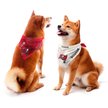 Show in main carousel: Littlearth NFL Home & Away Bandana Set for Dogs & Cats, Tampa Bay Buccaneers, Large slide 1 of 6