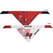 Show in main carousel: Littlearth NFL Home & Away Bandana Set for Dogs & Cats, Tampa Bay Buccaneers, Large slide 3 of 6
