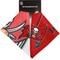 Show in main carousel: Littlearth NFL Home & Away Bandana Set for Dogs & Cats, Tampa Bay Buccaneers, Small slide 2 of 6
