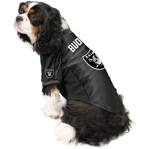 Littlearth NFL Personalized Stretch Dog & Cat Jersey, Las Vegas Raiders, Medium