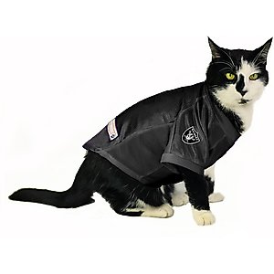 Littlearth NFL Personalized Stretch Dog & Cat Jersey, Las Vegas Raiders, X-Large