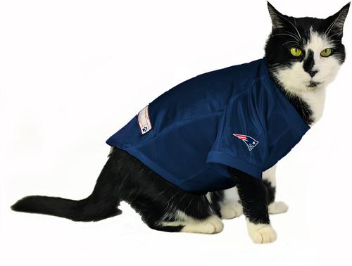 Show full view: Littlearth NFL Personalized Stretch Dog & Cat Jersey, New England Patriots, Small slide 5 of 9