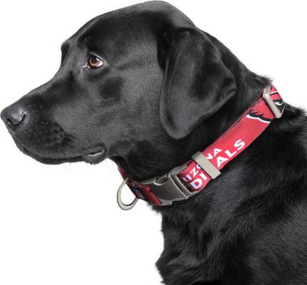 Show full view: Littlearth NFL Premium Dog & Cat Collar, Arizona Cardinals, Large slide 2 of 4