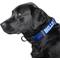 Show in main carousel: Littlearth NFL Premium Dog & Cat Collar, Buffalo Bills, Large slide 2 of 4