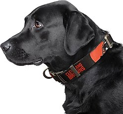 Littlearth NFL Premium Dog & Cat Collar, Cleveland Browns, Small slide 2 of 3