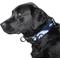 Show in main carousel: Littlearth NFL Premium Dog & Cat Collar, Denver Broncos, Large slide 2 of 4