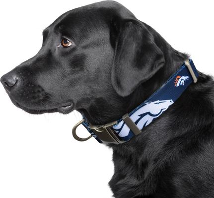 Show full view: Littlearth NFL Premium Dog & Cat Collar, Denver Broncos, Large slide 2 of 4