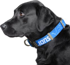 Littlearth NFL Premium Dog & Cat Collar, Detroit Lions, Large slide 2 of 3