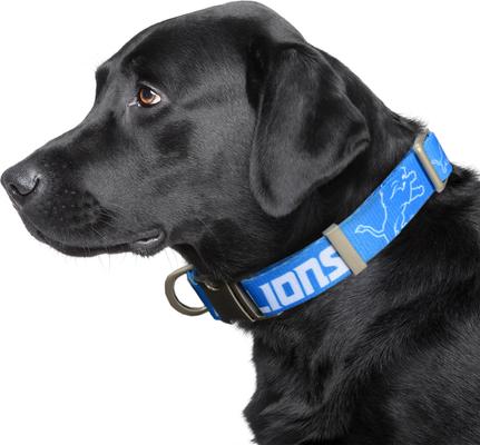 Show full view: Littlearth NFL Premium Dog & Cat Collar, Detroit Lions, Large slide 3 of 5